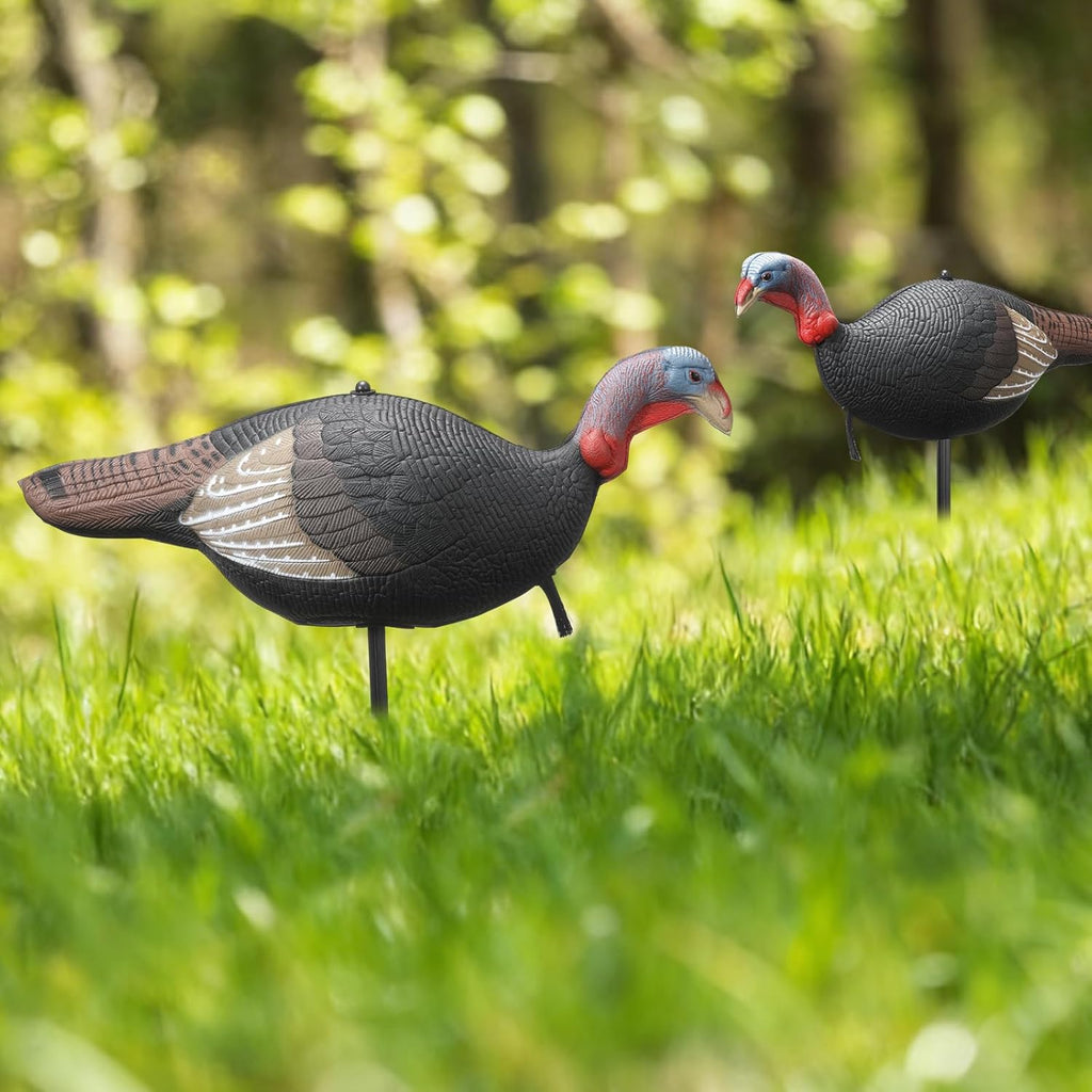 Collapsible Turkey Decoy for Hunting - Durable Realistic Lifelike Lightweight Standing Hunting Decoy with Stake for Field Forest Wood Ground Outdoor