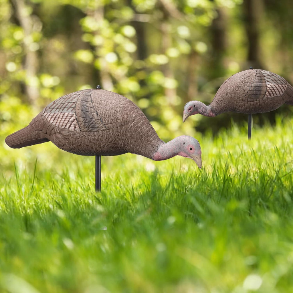 Collapsible Turkey Decoy for Hunting - Durable Realistic Lifelike Lightweight Standing Hunting Decoy with Stake for Field Forest Wood Ground Outdoor